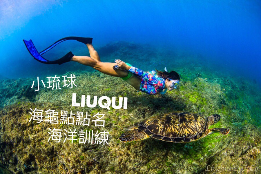 小琉球自由潛水🔸沒天分到底如何考到自由潛水證照? 會變美的水底運動