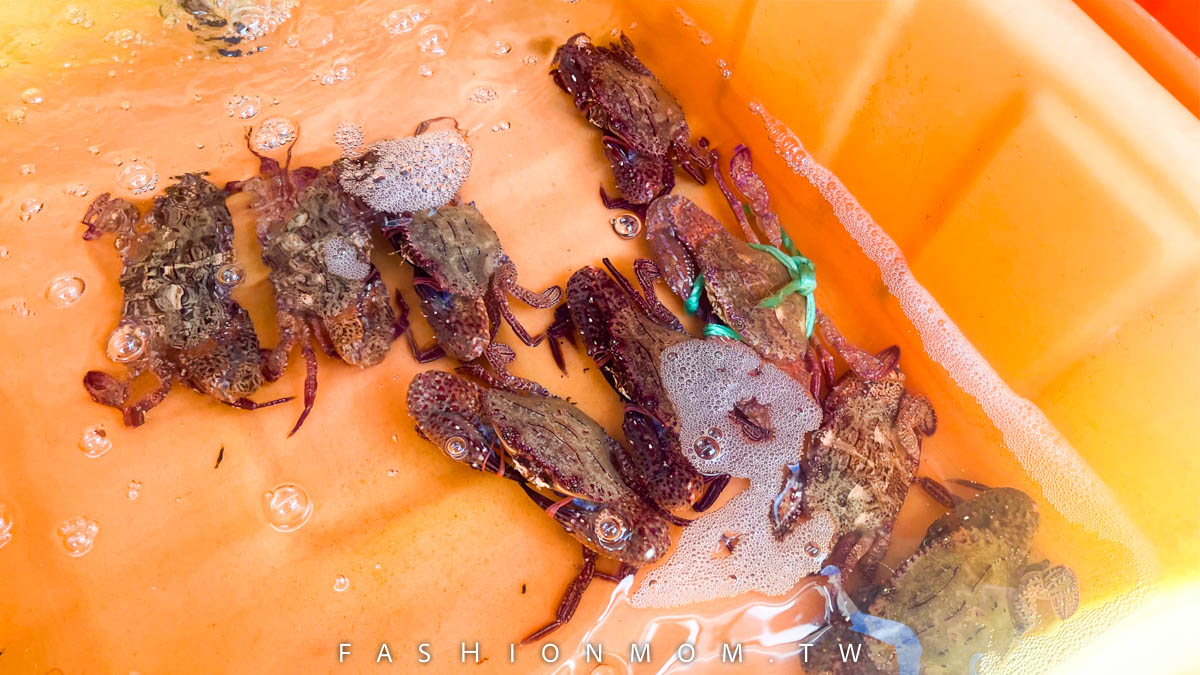 澎湖螃蟹