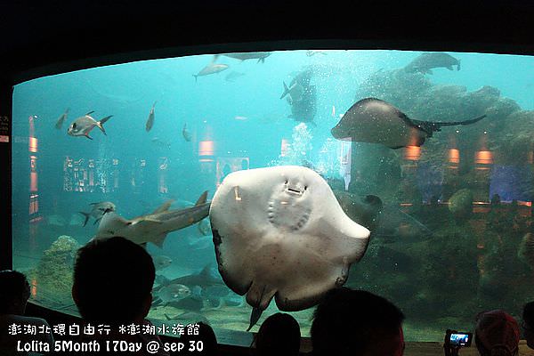 2012 9 30 澎湖水族館 (63)