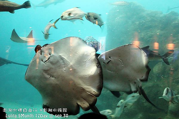 2012 9 30 澎湖水族館 (79)