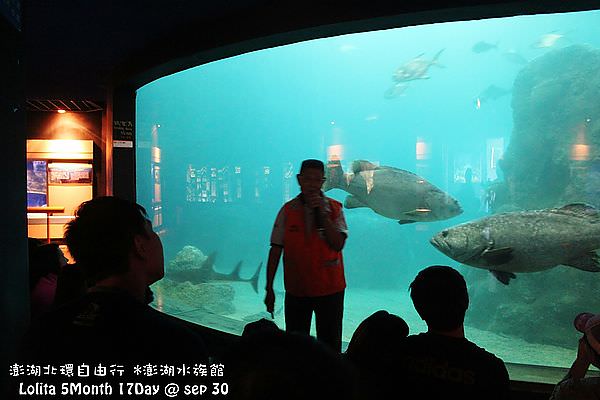 2012 9 30 澎湖水族館 (60)